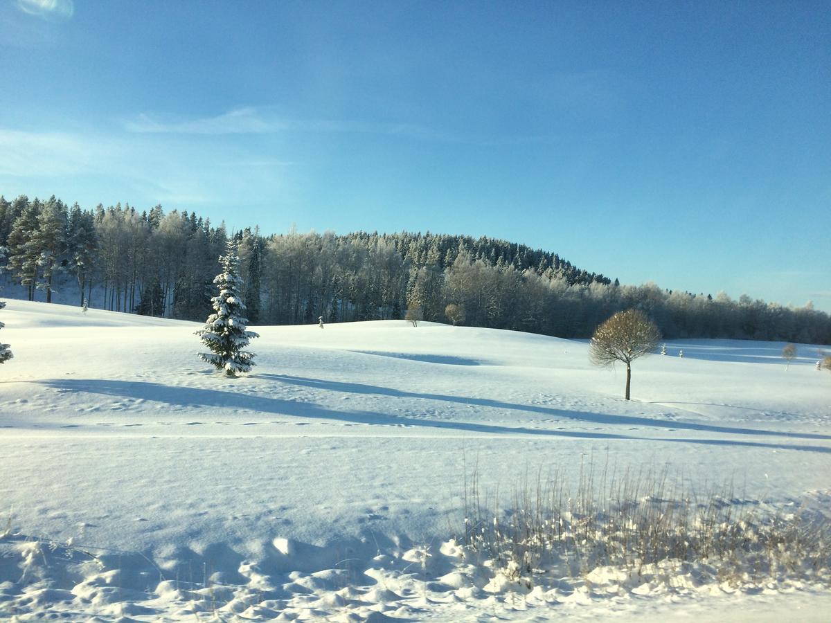 Asikkalan Motelli Vesivehmaa Bagian luar foto